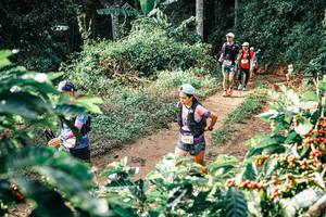 BIB: 
                            <button type="button" onclick="openModal(25852073)" class="btn btn-primary btn-sm float-right btn-popup" data-toggle="modal" data-target=".modal-high-quality">
                        <i class="fas fa-shopping-cart"></i> Add to Cart
                    </button>
                                            <button type="button" onclick="isThisMe(25852073, true)" class="btn btn-success btn-sm float-right btn-popup btn-isme hidden" data-toggle="tooltip" data-placement="bottom" title="นี่คือรูปของคุณใช่ไหม คลิกที่นี่เพื่อเอาเข้าอัลบั้ม">
                        <i class="fas fa-plus"></i> Add to album
                    </button>
                    <button type="button" onclick="isThisMe(25852073, false)" class="btn btn-warning btn-sm float-right btn-popup btn-isnotme hidden">
                        <i class="fas fa-ban"></i> Remove from album
                    </button>